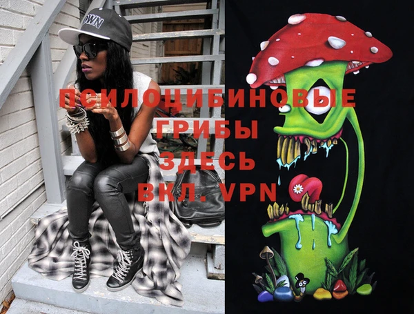 PSILOCYBIN Надым